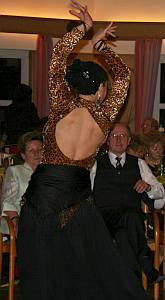 Haidhof-Silvester2007 04  300h