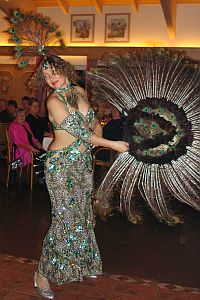 Silvester2006-Pfau01 300h