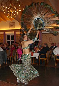 Silvester2006-Pfau02 300h