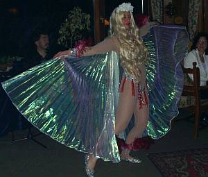 Vampir-Lesung - Elfentraum1sp 300b