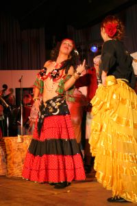 Hamburg - Piratenshow6 300h