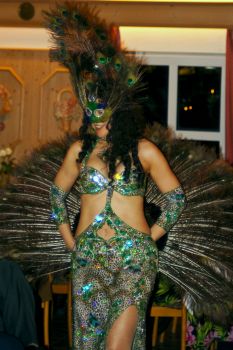 Silvester 2008-1_350h