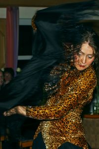 Silvester 2008-2_350h